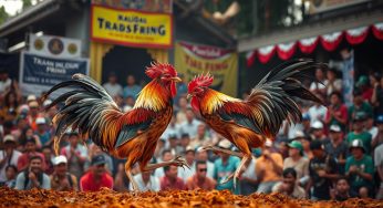 Judi Sabung Ayam Terpercaya: Panduan Memilih Platform Terbaik untuk Taruhan Anda